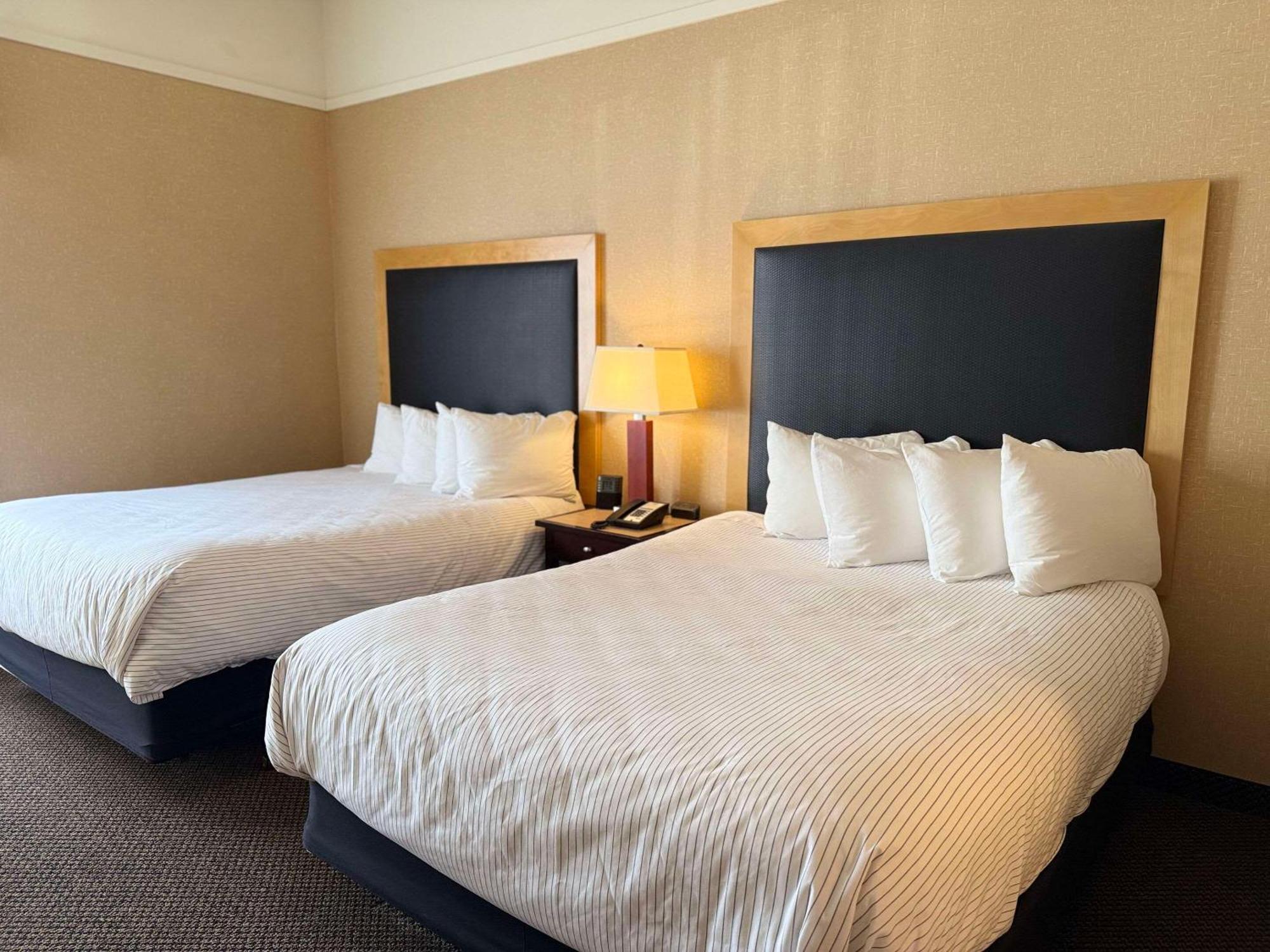 Cambria Hotel Traverse City Bagian luar foto